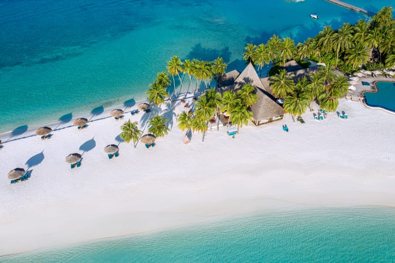 The Island