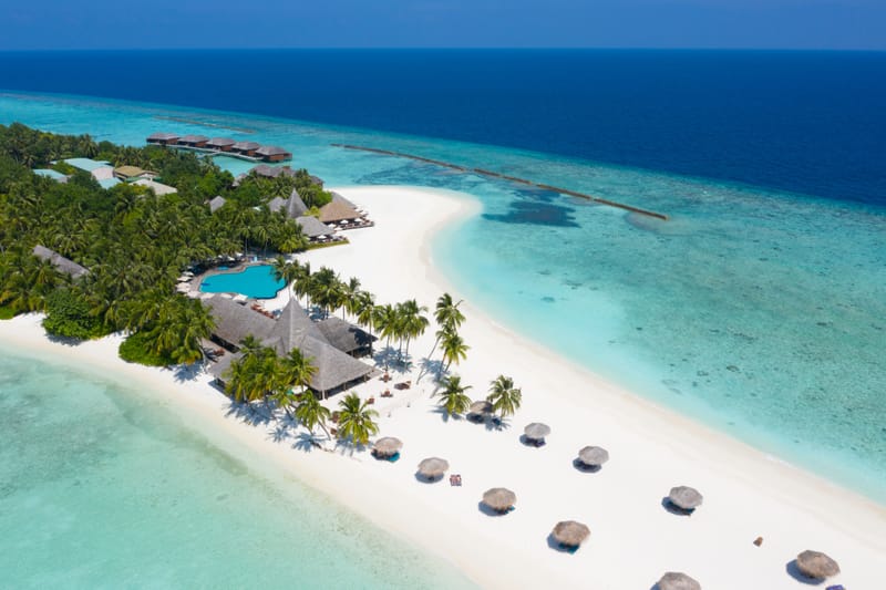 The Island