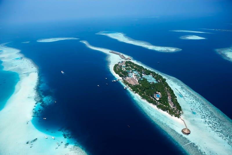 The Island