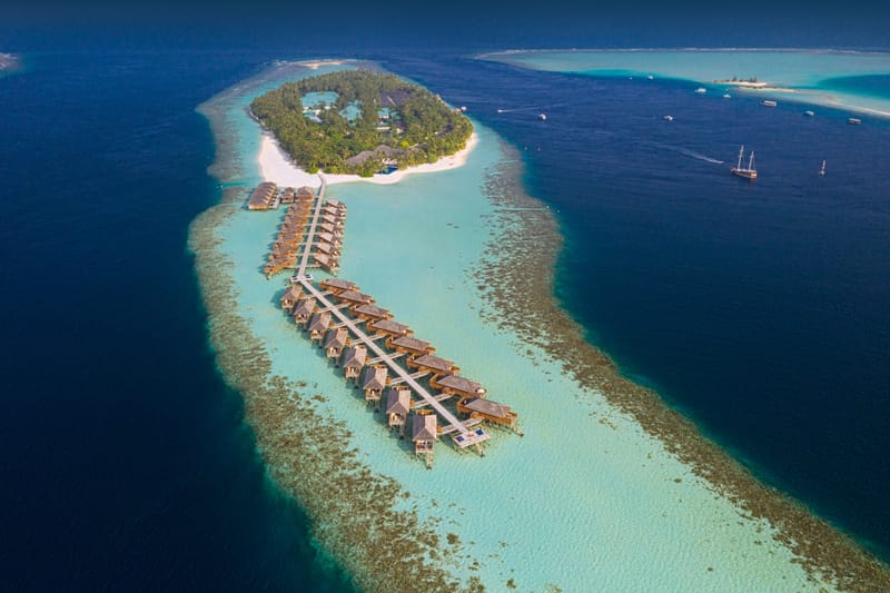 The Island