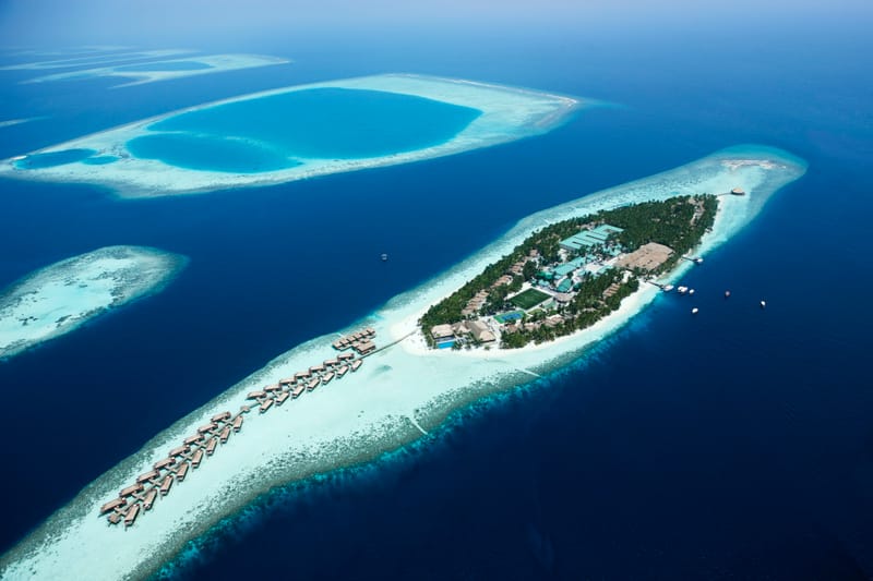 The Island