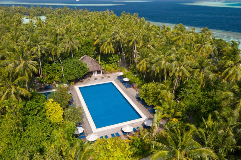 The Island