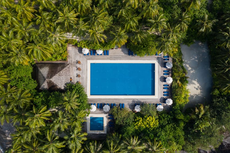 The Island