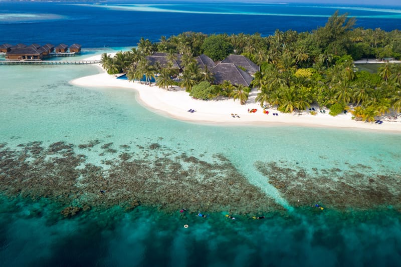 The Island