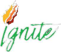 Ignite 20 Cap