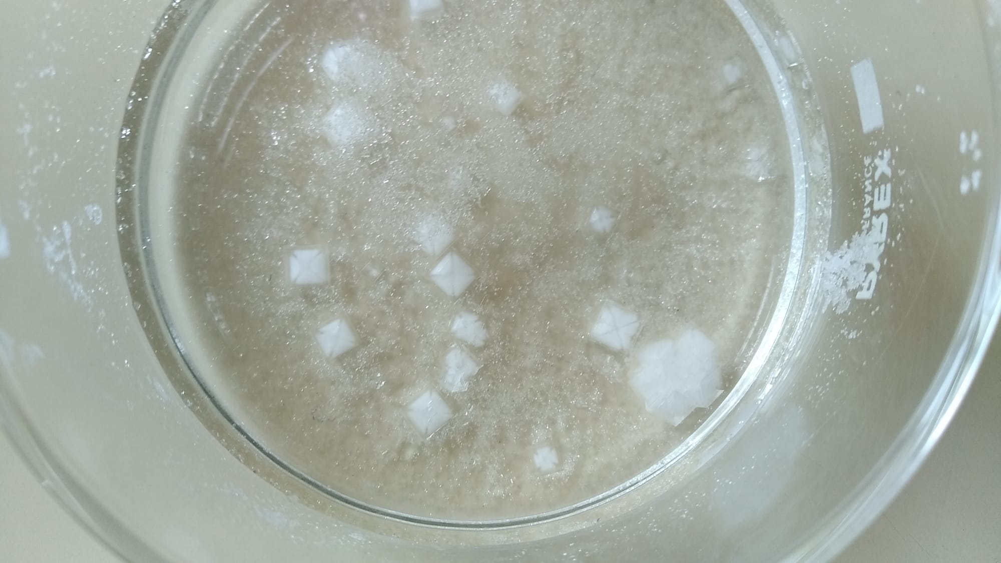 CLORURO SÓDICO A TEMPERATURA AMBIENTE