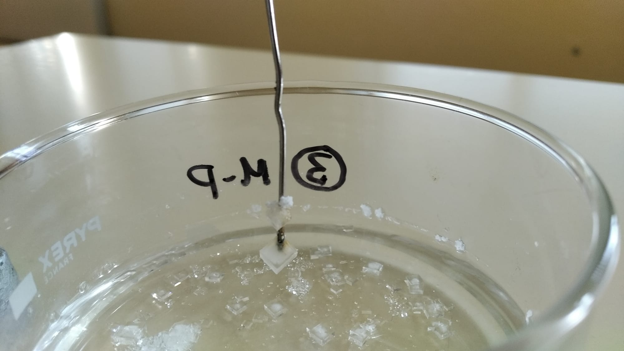 CLORURO SÓDICO SOBRE LA PUNTA DE UN CLIP