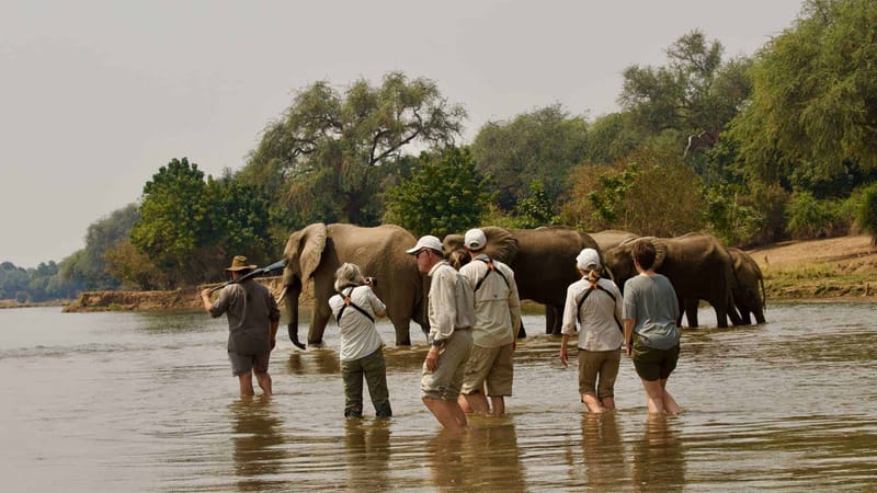 MANA POOLS, ZIMBABWE.