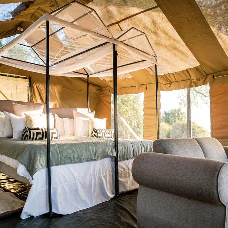 MANA POOLS, ZIMBABWE.