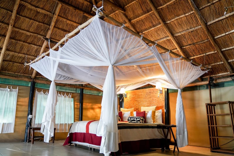 MANA POOLS, ZIMBABWE.
