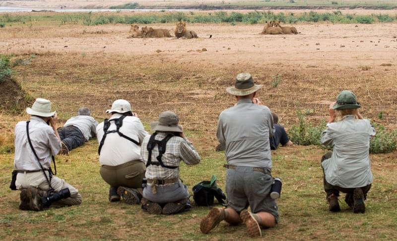 MANA POOLS, ZIMBABWE.
