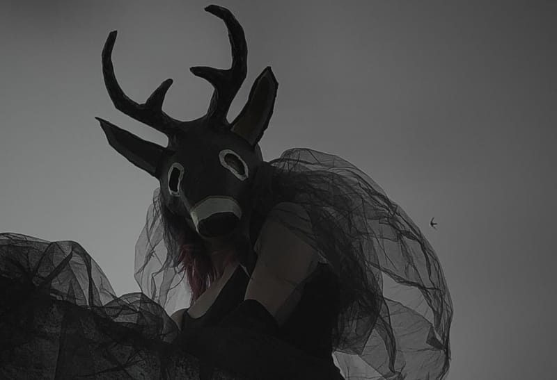 Nikos Touliatos and Van Fog