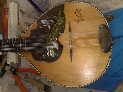 מנדולינה 12 מיתרים image