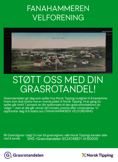 VEDTEKTER For fanahammeren velforening image