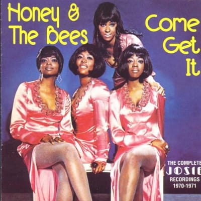 HONEY & THE BEES