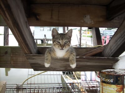 9 kilroy was here and left the link to drake's novels