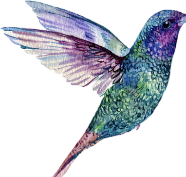 Hummingbird Tributes