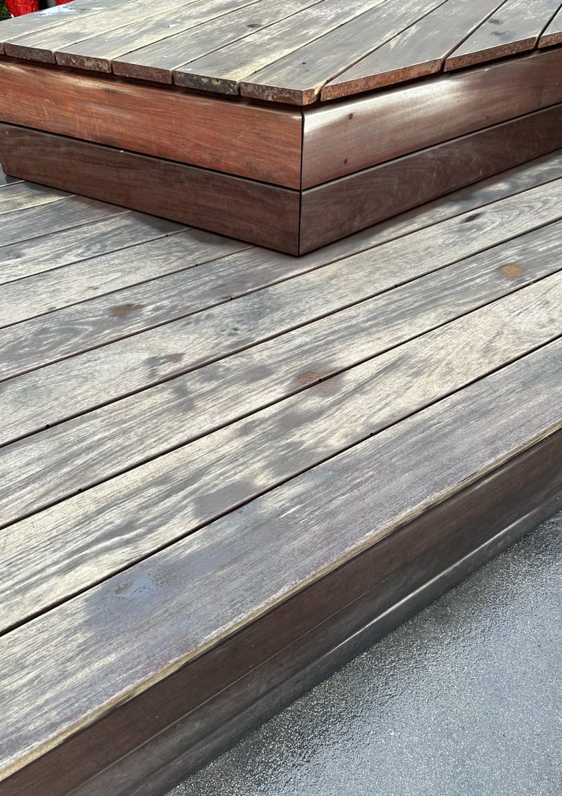 שמירה על דק מפני נזקים ומזיקים