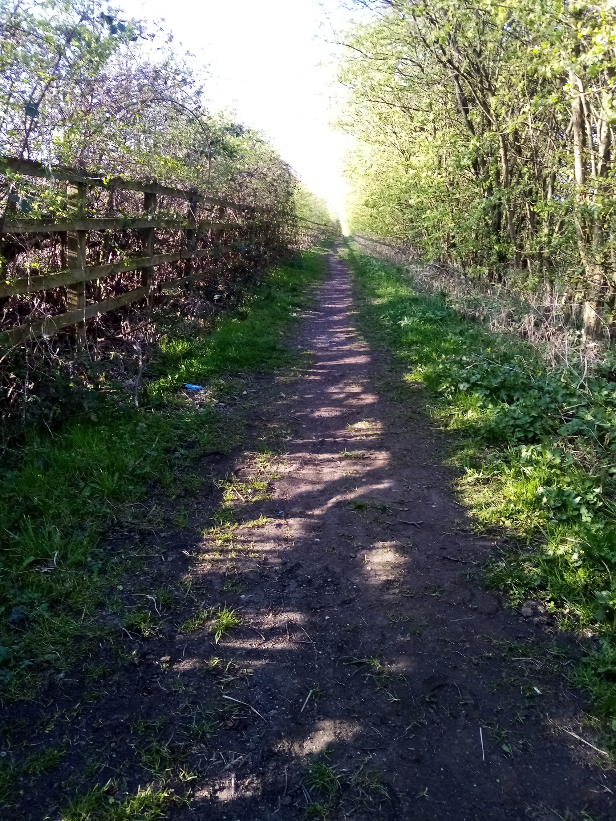 Walk 6 - The A38 (3.5 miles)