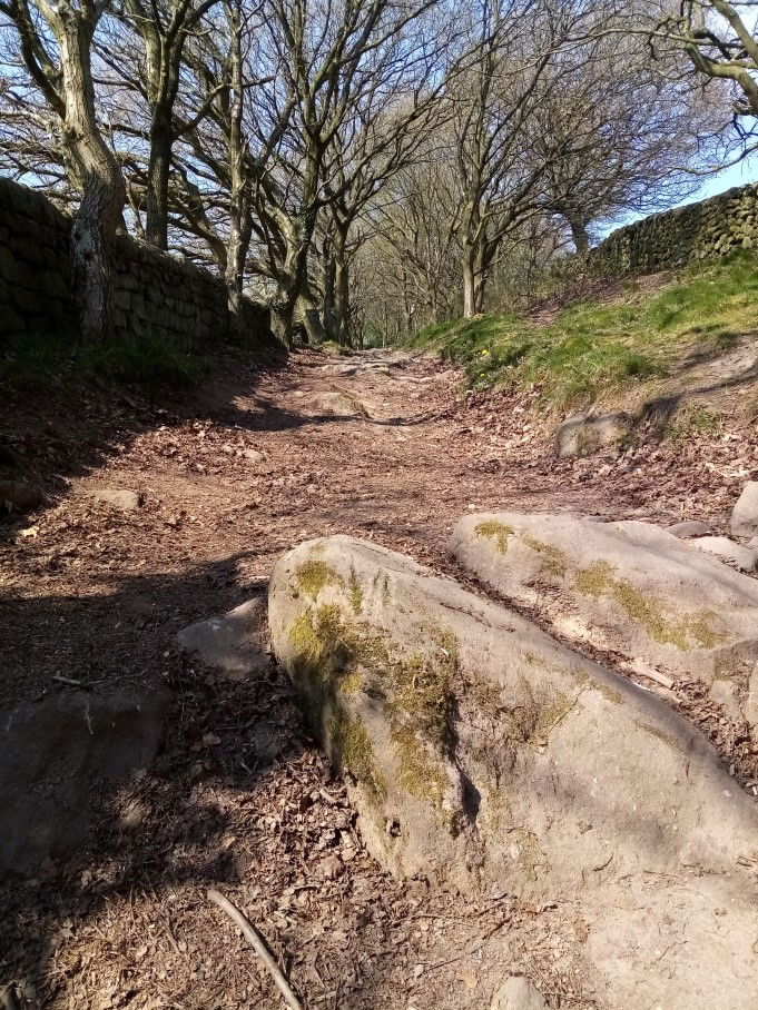 Walk 1 - The Chevin from Goods Road (3.75 miles)