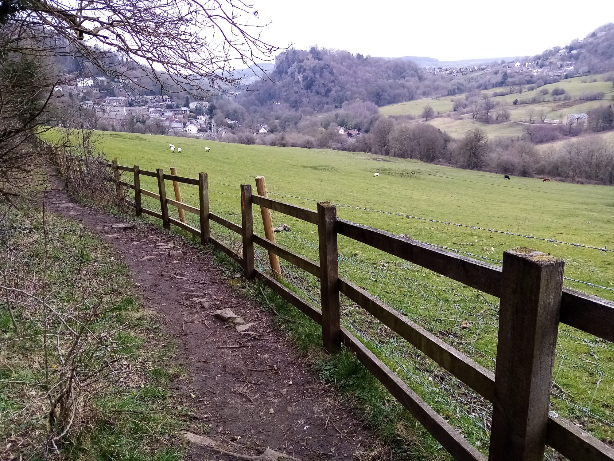 Walk 4 - The Matlocks (4.75 miles)