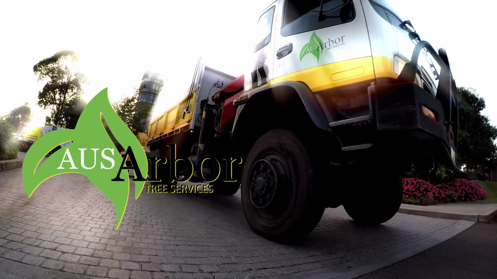 Aus Arbor Tree Services