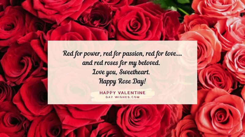 Happy Rose Day