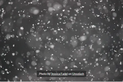 Bluebird Word, The (Reston, Virginia)