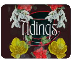 Anomaly Press-Tidings Anthology - Winter 2022 (New Bedford, Massachusetts)