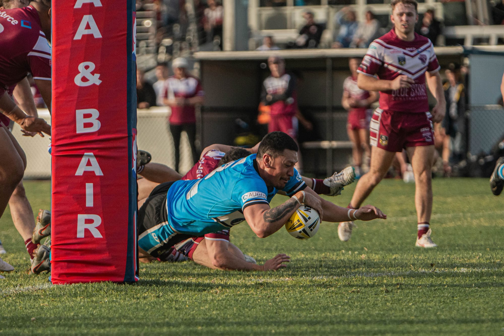 Resilience the key as Sharks grind out draw with Sea Eagles