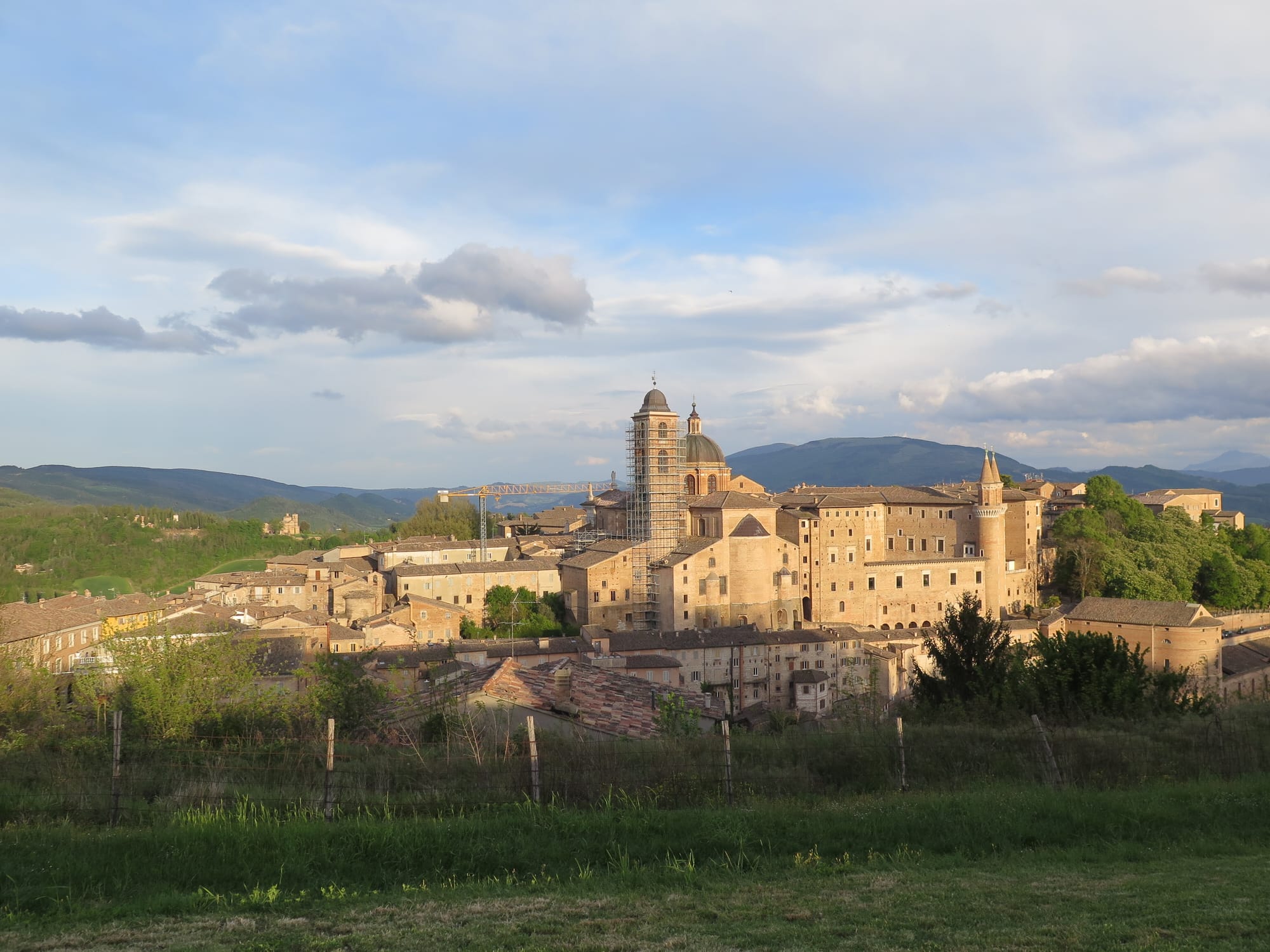 Urbino