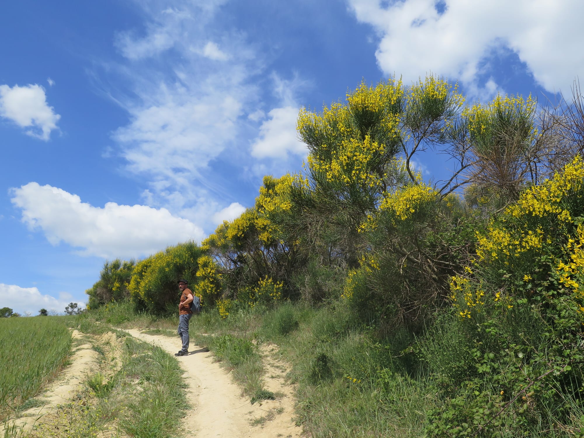 Wanderung auf dem Küstenpfad