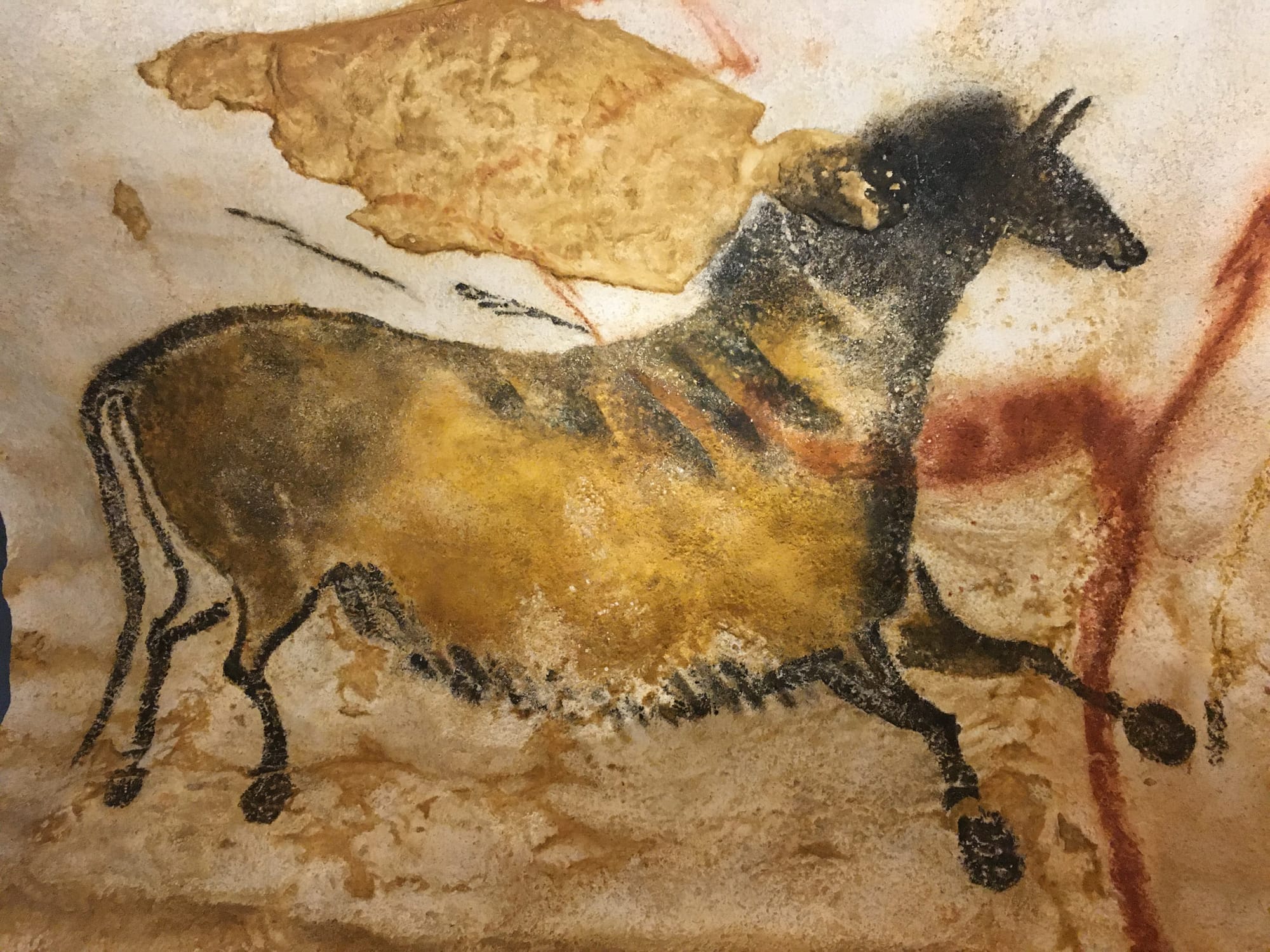 Lascaux IV