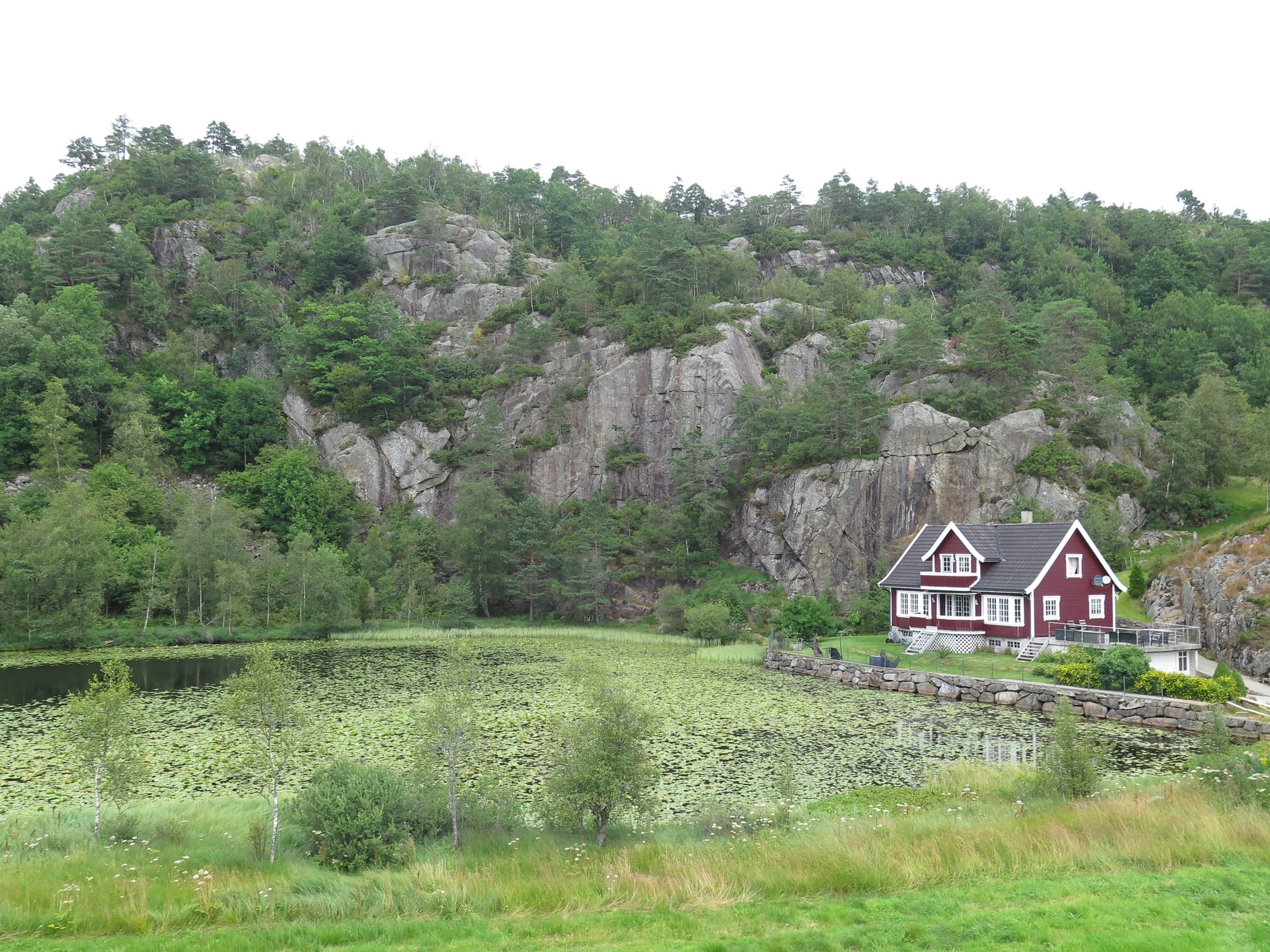 Seerosen und eine Schule