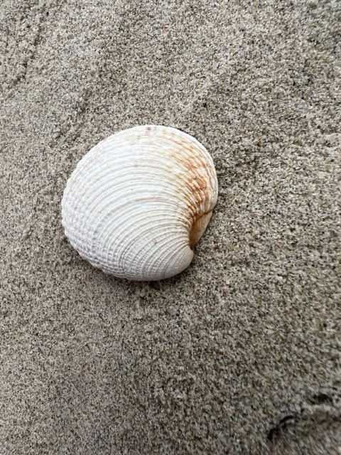 Sommertag am Strand