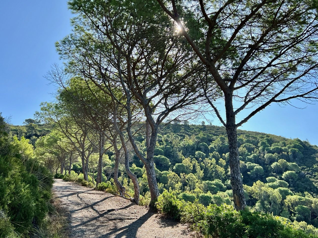 Wanderung Capo Stella und Wiedersehen mit alten Freunden