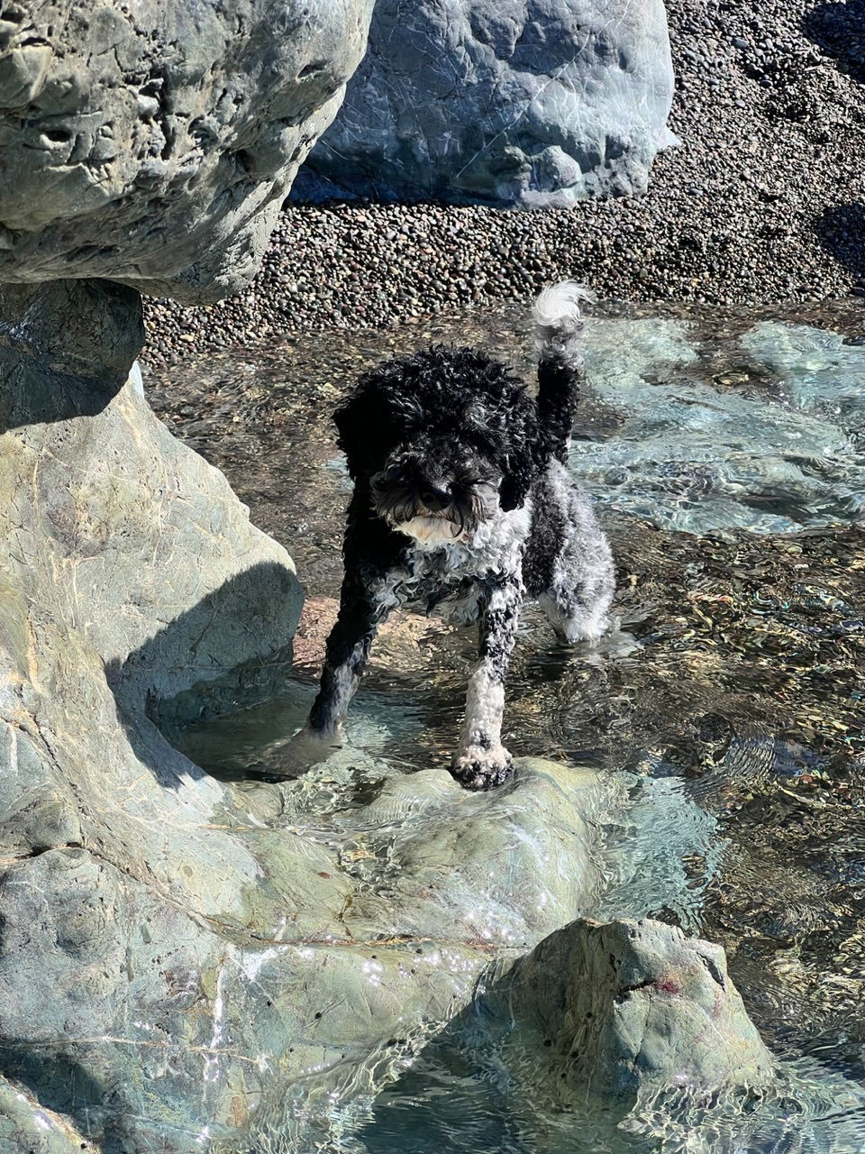 Schöner Tag am Strand