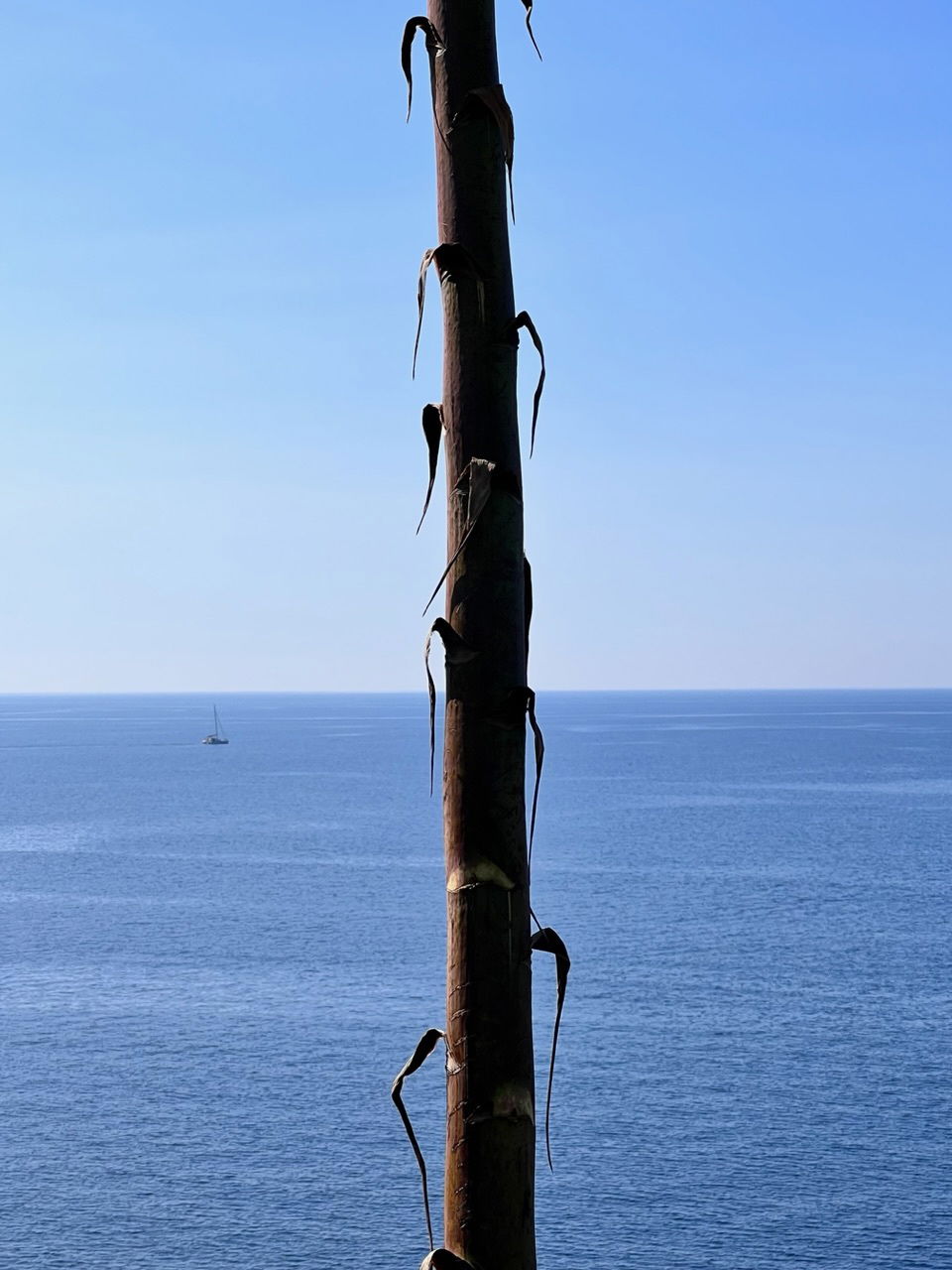 Capo Stella und Strand