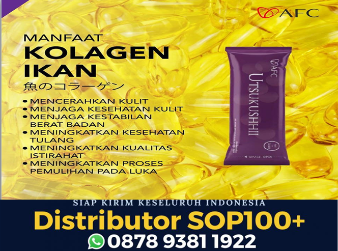 Utsukushii AFC Untuk Apa, WA 0878 9381 1922