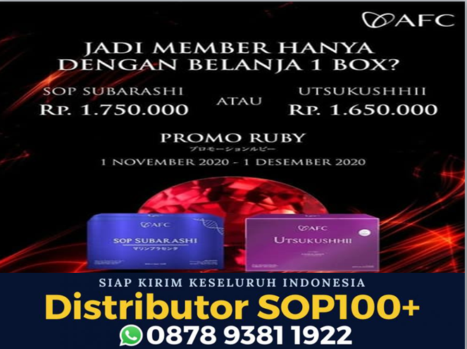 Utsukushii Untuk Asam Lambung, WA 0878 9381 1922