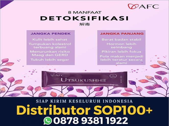 Utsukushii Untuk Batu Empedu, WA 0878 9381 1922