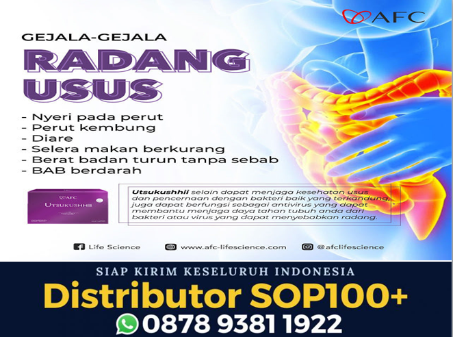 Utsukushii Untuk Diet, WA 0878 9381 1922