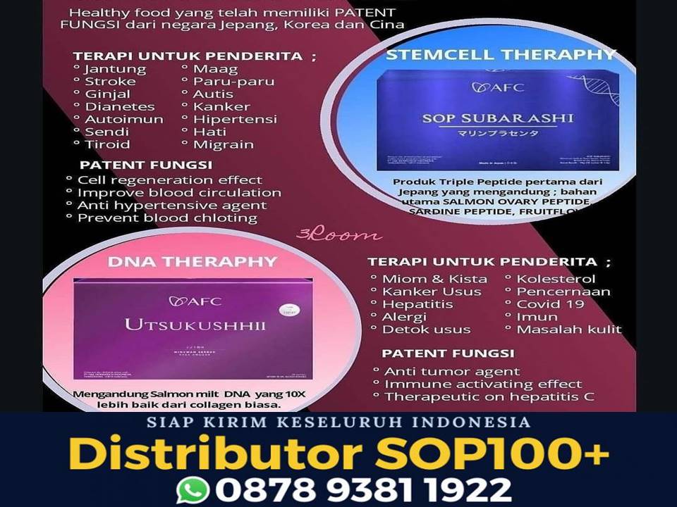 Utsukushii Untuk Gerd, WA 0878 9381 1922