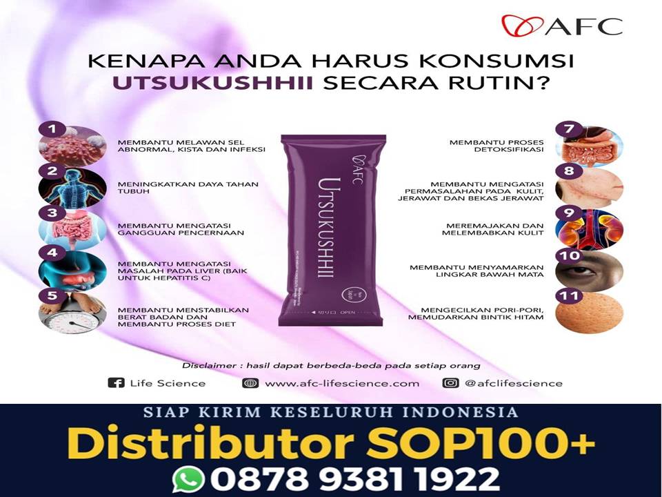 Utsukushii Untuk Lambung, WA 0878 9381 1922