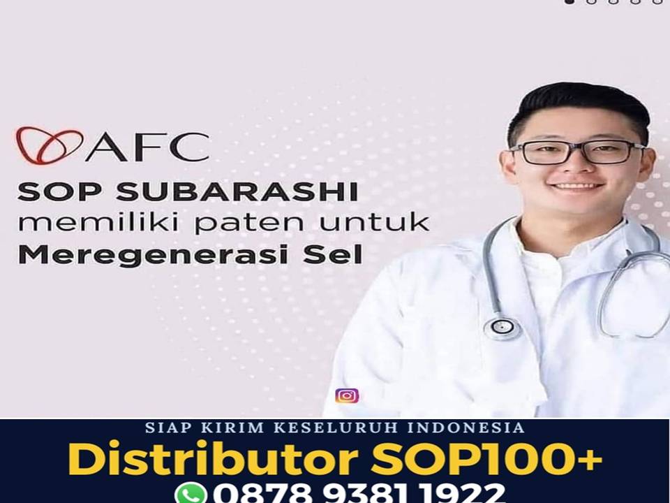 Utsukushii Untuk Maag, WA 0878 9381 1922