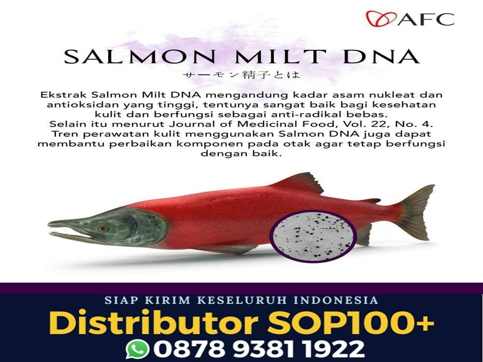 Utsukushii Untuk Tumor, WA 0878 9381 1922