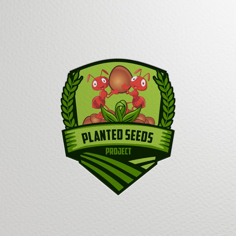 Brand Logo Design