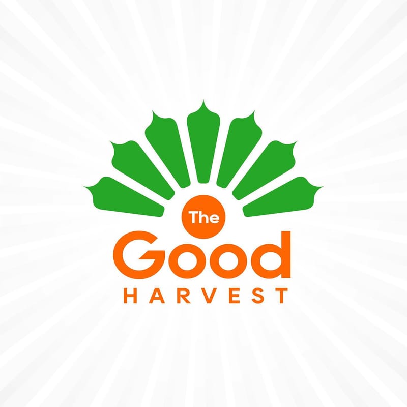 Brand Logo Design