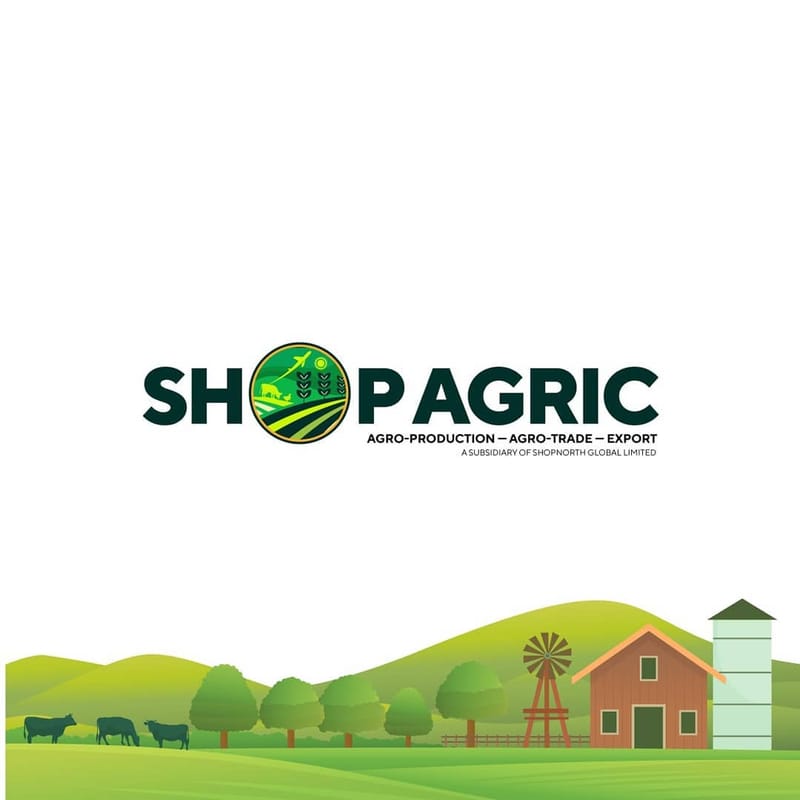 Brand Logo Design