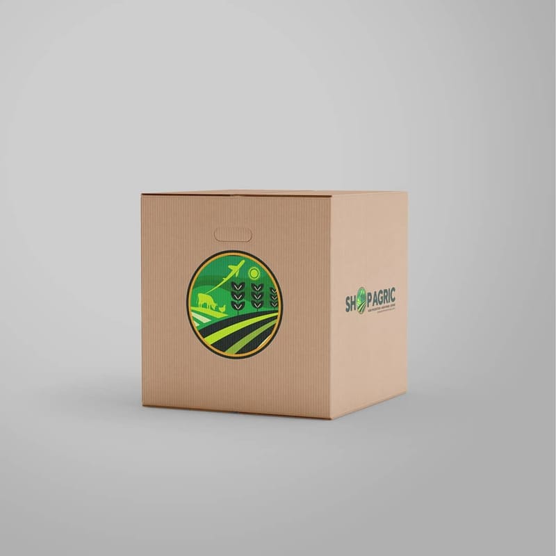 Brand Logo Design